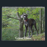 Great Dane Calendar<br><div class="desc">A Calendar with 12 different pictures of Great Dane</div>