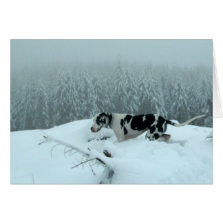 Great Dane "Cash" In The Snow Cards