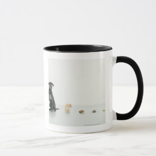 Great Dane, cat, guinea pig, tortoise and slug Mug