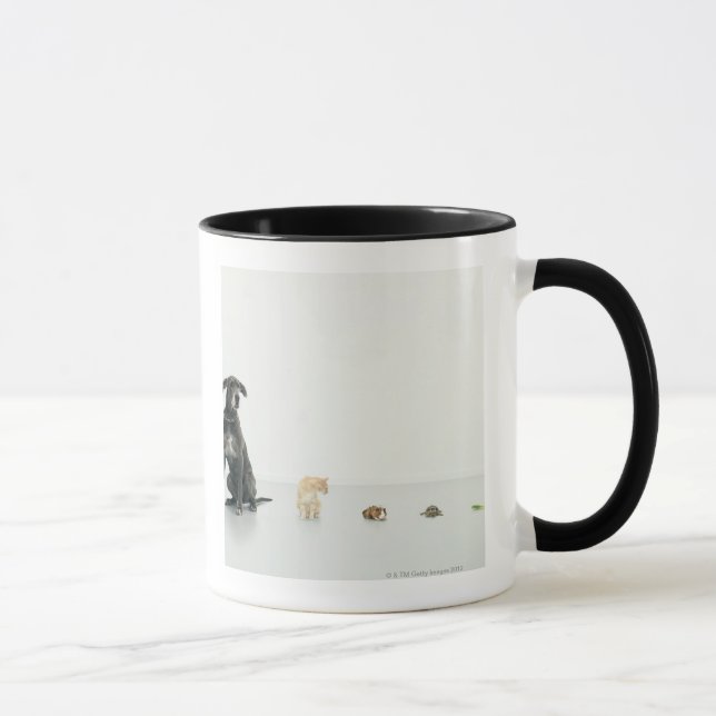 Great Dane, cat, guinea pig, tortoise and slug Mug (Right)