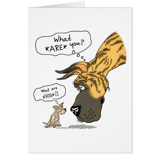 Great Dane & Chihuahua Brindle (Front)