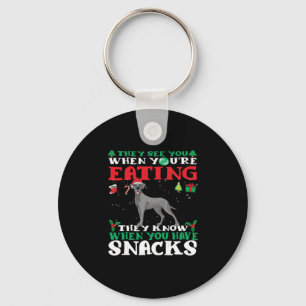 Great Dane Christmas fun Classic T-Shirt Keychain