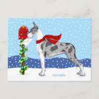 Great Dane Christmas Mail Merle