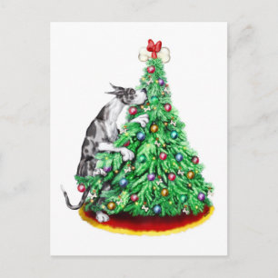 Great Dane Christmas Reach Goals Merle Holiday Postcard