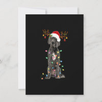 Great Dane Christmas Tree Lights Pajama Dog Lover