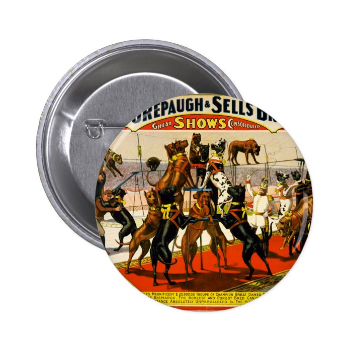 Great Dane Circus Show Pinback Button