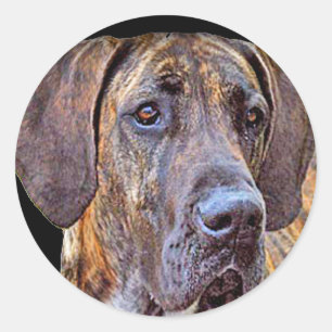 "Great Dane" Classic Round Sticker