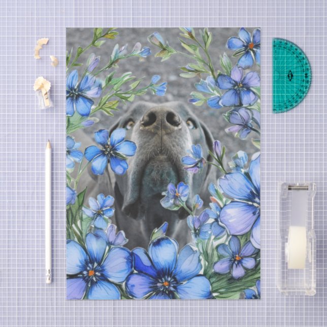Great Dane Comic Puppy Tissue Paper (Craft)