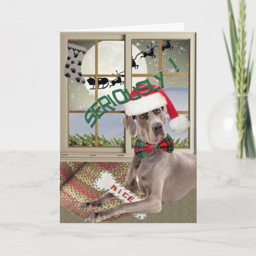 Great Dane Did Not Understand Nice Cards
