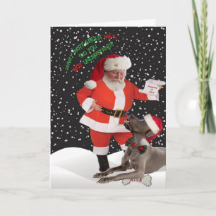Great Dane Did Not Understand Nice Cards