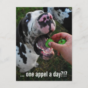 Great Dane Doctor Postcard