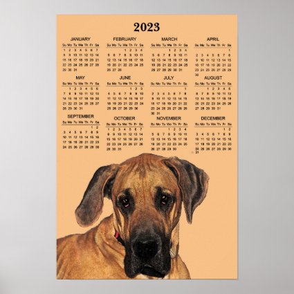 Great Dane Dog 2023 Animal Calendar Poster