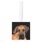 Great Dane Dog Animal Cube Ornament (Front)