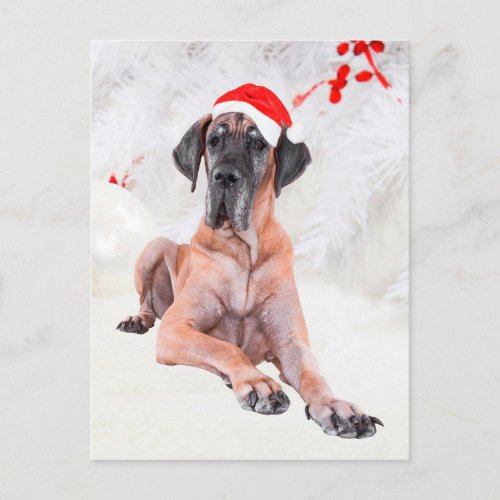 Great Dane Dog Hat Merry Christmas Holiday Postcard
