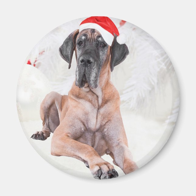 Great Dane Dog Hat Merry Christmas Magnet (Front)