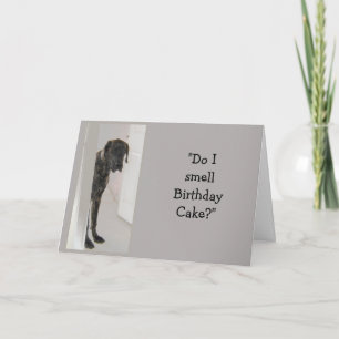 Great Dane Dog Humor Birthday Cake Fun Card