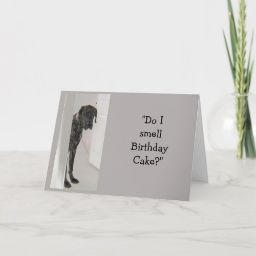 Great Dane Dog Humor SON Birthday Cake Fun Card