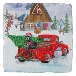 Great Dane Dog In Christmas Delivery Truck Snow  Trivet