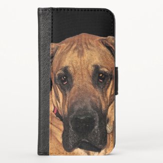 Great Dane Dog iPhone X Wallet Case