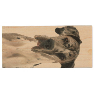 Great Dane Dog Pet Animal Wood Flash Drive