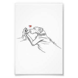 Great Dane Dog Photo Print