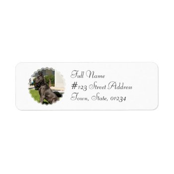 Great Dane Dog Return Address Label by DogPoundGifts at Zazzle