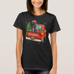 Great Dane Dog Ride Red Truck Christmas Dog Pajam T-Shirt