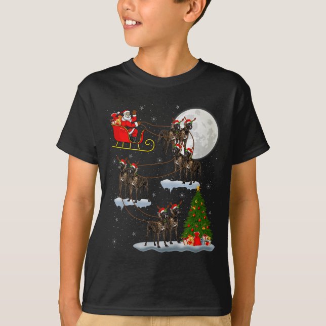 Great Dane Dog Santa Sleigh Flying Funny Magical C T-Shirt (Front)
