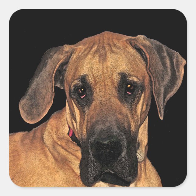 Great Dane Dog Stickers (Front)