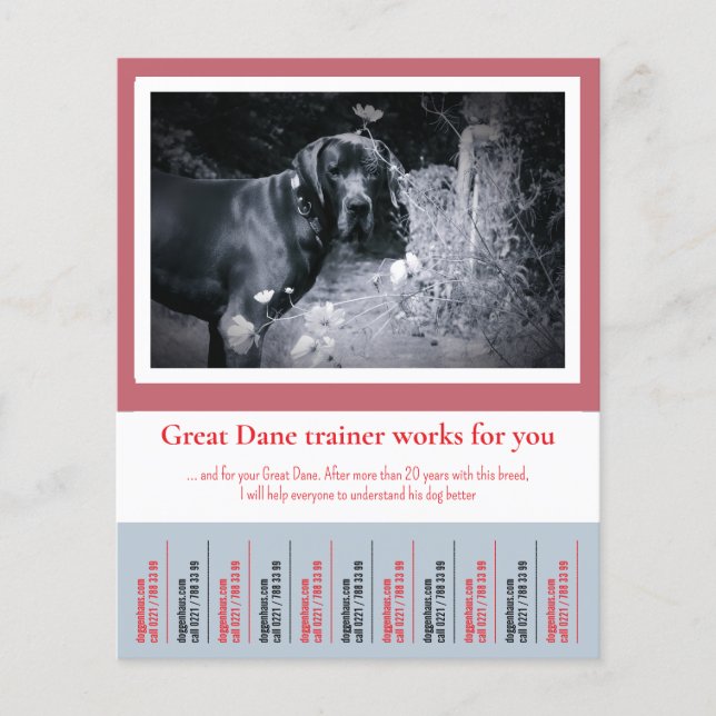 Great Dane Dog Trainer Flyer (Front)