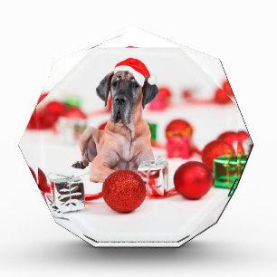 Great Dane Dog with Christmas Ornaments Gifts