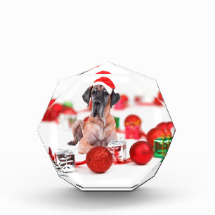 Great Dane Dog with Christmas Ornaments Gifts