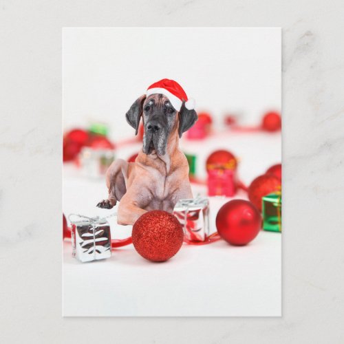 Great Dane Dog with Christmas Ornaments Gifts Holiday Postcard