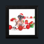 Great Dane Dog with Christmas Ornaments Gifts Jewelry Box<br><div class="desc">A cute Great Dane Dog sitting with Christmas Ornaments and gift boxes. A perfect gift for someone on this Christmas!</div>