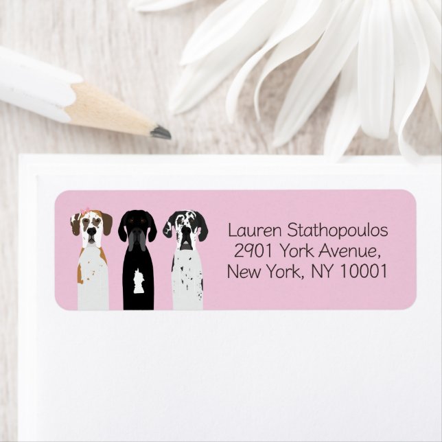 Great Dane Dogs Label (Insitu)