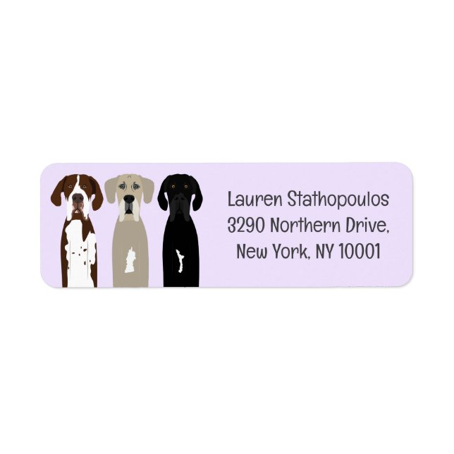 Great Dane Dogs Label (Front)