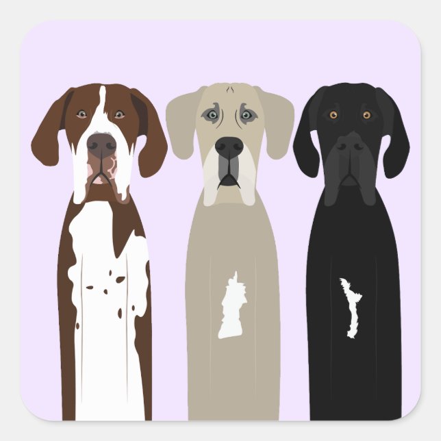 Great Dane Dogs Square Sticker (Front)
