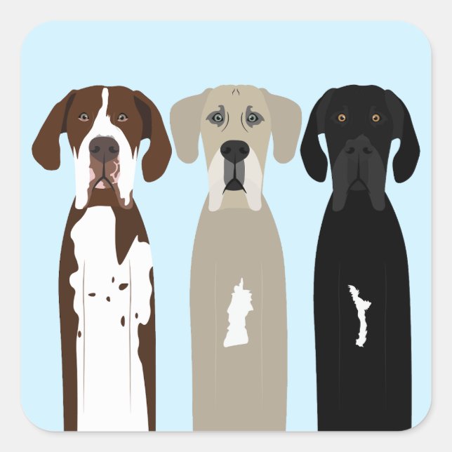 Great Dane Dogs Square Sticker (Front)
