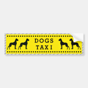 Great Dane Dogs Taxi Bumper Sticker