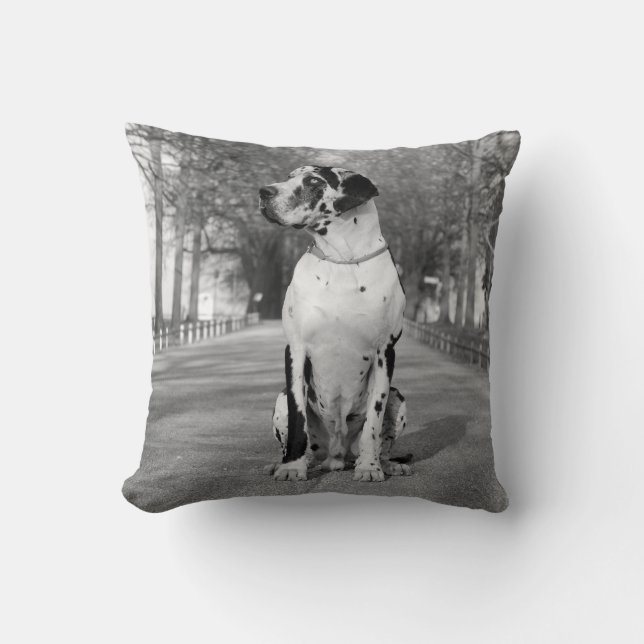Great Dane Double Print Pillows (Front)