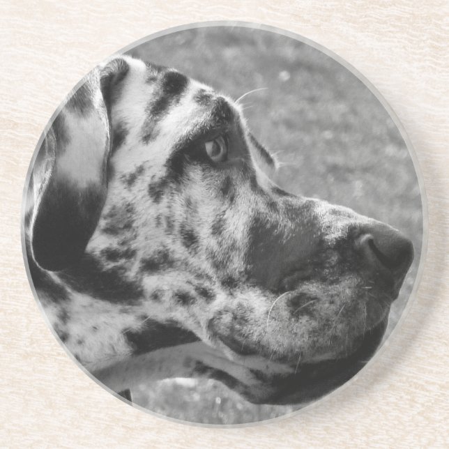 GREAT DANE DRINK COASTER (Front)