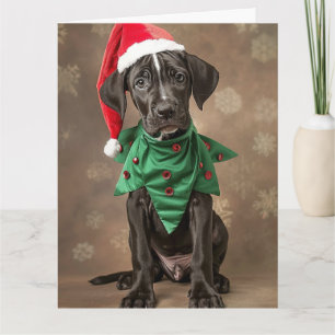 Great Dane Elf Puppy Christmas Card