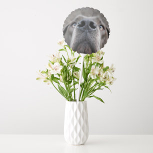 Great Dane Face Selfie  Balloon