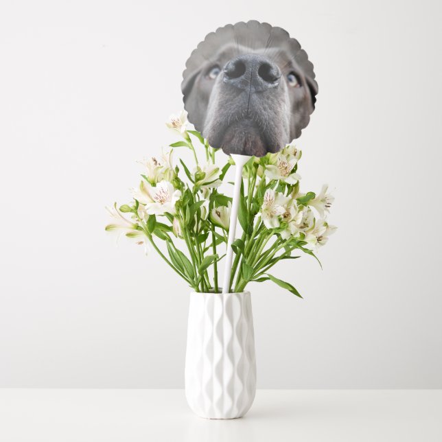Great Dane Face Selfie  Balloon (Vase)