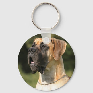 Great Dane - fawn / Deutsche Dogge - gelb Keychain