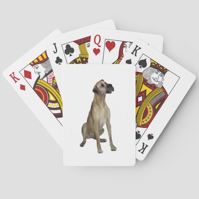 Great Dane - FawnSit - natural ears Poker Cards (Back)
