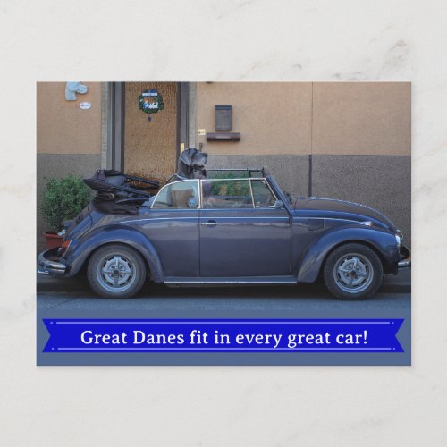 Great Dane fits in a Beetle Postcard
