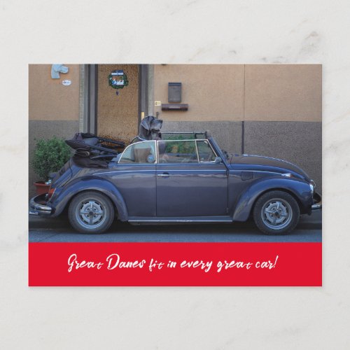 Great Dane fits in a Beetle Postcard