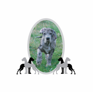 Great Dane Frame Cutout