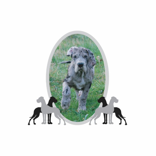 Great Dane Frame Cutout (Front)